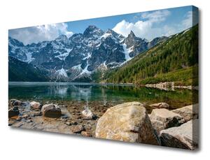 Obraz na plátně Hory Les Jezero Kameny 100x50 cm