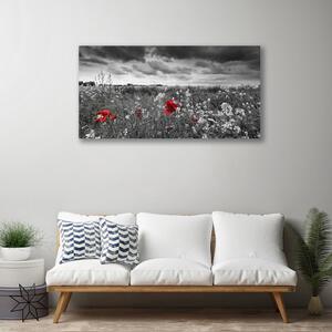 Obraz na plátně Louka Květiny Krajina 100x50 cm