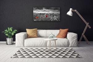 Obraz na plátně Louka Květiny Krajina 125x50 cm