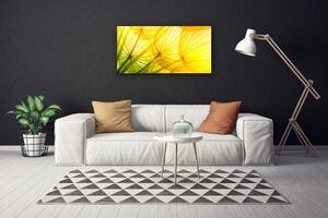 Obraz na plátně Pampelišky Květiny Příroda 125x50 cm