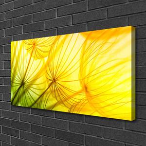 Obraz na plátně Pampelišky Květiny Příroda 140x70 cm