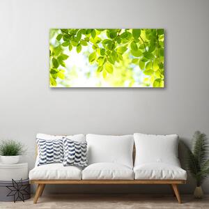Obraz na plátně Listy Příroda Rostlina 100x50 cm
