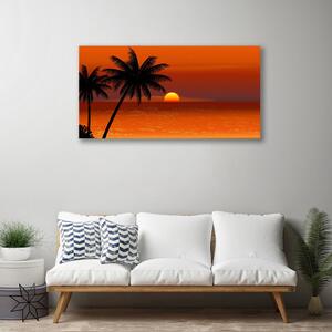 Obraz na plátně Palma Moře Slunce Krajina 100x50 cm