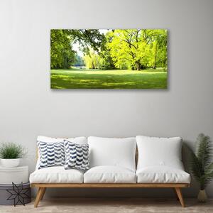 Obraz na plátně Tráva Stromy Park Příroda 100x50 cm