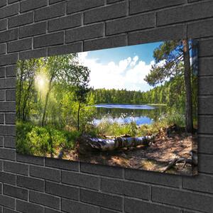 Obraz na plátně Les Stromy Jezero Příroda 120x60 cm