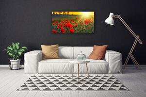 Obraz na plátně Louka Máky Rostlina Příroda 140x70 cm