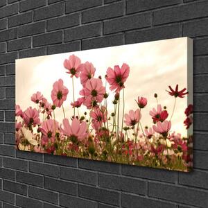 Obraz na plátně Polní Květiny Louka Příroda 140x70 cm