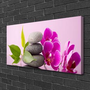 Obraz na plátně Orchidej Vstavač Kameny 125x50 cm