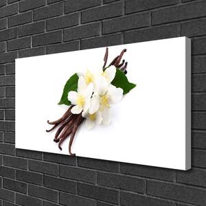 Obraz na plátně Vanilková Tyčinka do Kuchyně 120x60 cm