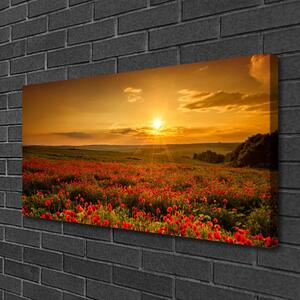 Obraz na plátně Pole Máky Západ Slunce Louka 125x50 cm