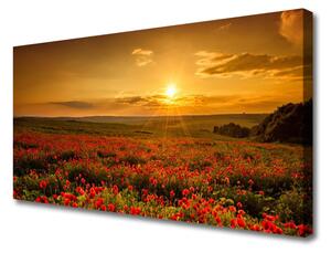 Obraz na plátně Pole Máky Západ Slunce Louka 100x50 cm