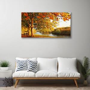 Obraz na plátně Strom Jezero Příroda 100x50 cm