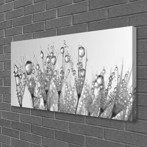 Obraz na plátně Abstrakce Rostlina Příroda 140x70 cm