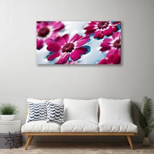 Obraz na plátně Květiny na Vodě Příroda 125x50 cm