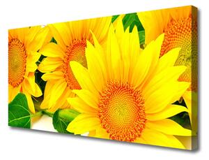 Obraz na plátně Slunečnice Květ Příroda 125x50 cm