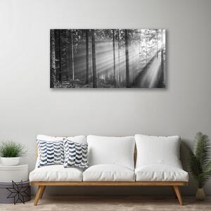 Obraz na plátně Les Příroda Paprsky Slunce 125x50 cm