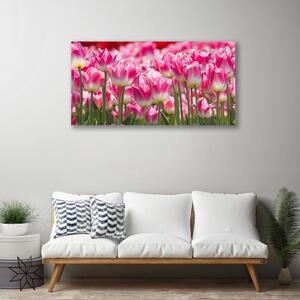 Obraz na plátně Tulipány Květiny Příroda 100x50 cm