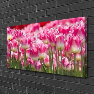 Obraz na plátně Tulipány Květiny Příroda 100x50 cm