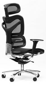 Spinergo MANAGER Spinergo - zdravotní židle pro náročné - šedá
