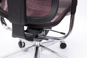 Spinergo BUSINESS Spinergo - zdravotní kancelářská židle - šedá