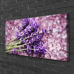 Obraz na plátně Květiny Rostlina Příroda 140x70 cm