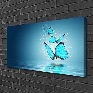 Obraz na plátně Motýli Voda Umění 140x70 cm
