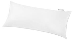 POLŠTÁŘ POD HLAVU, 40/80 cm Centa-Star - Polštáře pod hlavu, Online Only