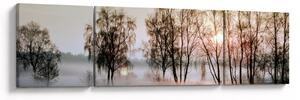 Obraz - Ranní sychravost (170x50 cm)