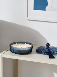 Sinsay - Vonná svíčka Elegant Peony - námořnická modrá