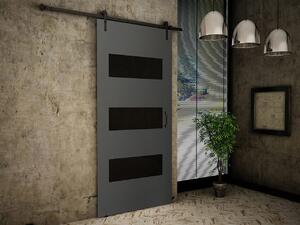 Zasouvací dveře Rimini 80cm, šedá/černé sklo
