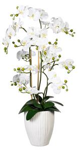 Orchidej bílá, aranžmá ve váze, 110cm