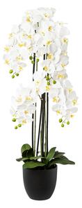 Umělá Orchidej bílá v resin květináči, 119cm