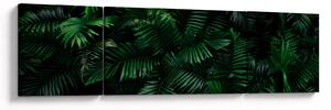 Obraz - Tropické kapradí (170x50 cm)