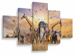 Obraz - Africká zvířata (125x70 cm)