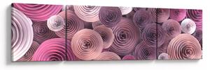 Abstraktní obraz květů růží (170x50 cm)
