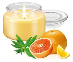 Vonná svíčka FANCY HOME 200 g, Verbena