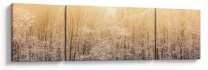 Obraz mrazivého lesa (170x50 cm)
