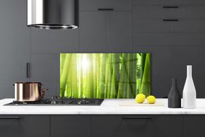 Kuchyňský skleněný panel Bambus Rostlina 100x50 cm