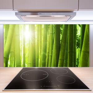 Kuchyňský skleněný panel Bambus Rostlina 140x70 cm