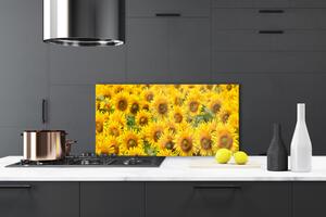 Kuchyňský skleněný panel Slunecznice Rostlina 120x60 cm