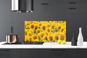 Kuchyňský skleněný panel Slunecznice Rostlina 125x50 cm