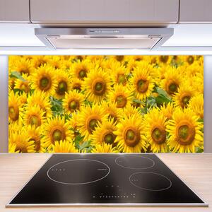 Kuchyňský skleněný panel Slunecznice Rostlina 125x50 cm