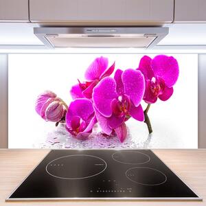Kuchyňský skleněný panel Květiny Rostlina 100x50 cm