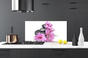 Kuchyňský skleněný panel Květ Kameny Rostlina 125x50 cm