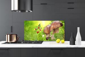 Kuchyňský skleněný panel Houby Divoké Jahody 100x50 cm
