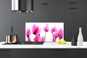 Kuchyňský skleněný panel Květíny Rostlina 100x50 cm