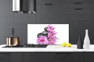 Kuchyňský skleněný panel Květ Kameny Rostlina 125x50 cm