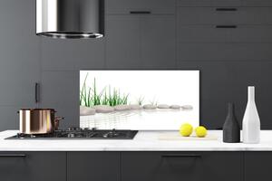Kuchyňský skleněný panel Kameny Tráva Umění 140x70 cm