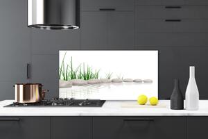 Kuchyňský skleněný panel Kameny Tráva Umění 140x70 cm