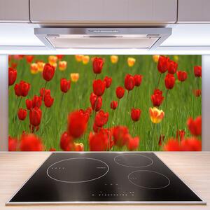 Kuchyňský skleněný panel Tulipány Rostlina 125x50 cm